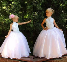 Load image into Gallery viewer, Pale Pink Flower Girl Dresses Tulle Floor Length