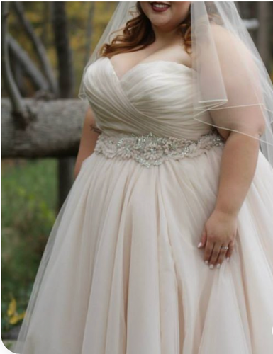 Plus Size Wedding Dresses Bridal Gown Sweetheart Waist with Handmade Flowers