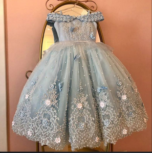 Cinderella Birthday Party Dresses for Kid Flower Girl Dresses