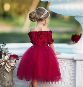 Bateau Red Flower Girl Dresses Birthday Gown