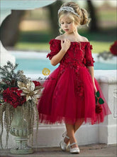 Load image into Gallery viewer, Bateau Red Flower Girl Dresses Birthday Gown