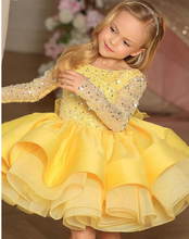 Load image into Gallery viewer, Sparkly Flower Girl Dresses with Beading