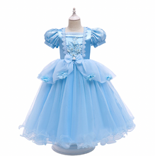 Load image into Gallery viewer, Cinderella Birthday Party Dresses for Kid Flower Girl Dresses