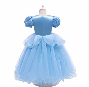 Cinderella Birthday Party Dresses for Kid Flower Girl Dresses